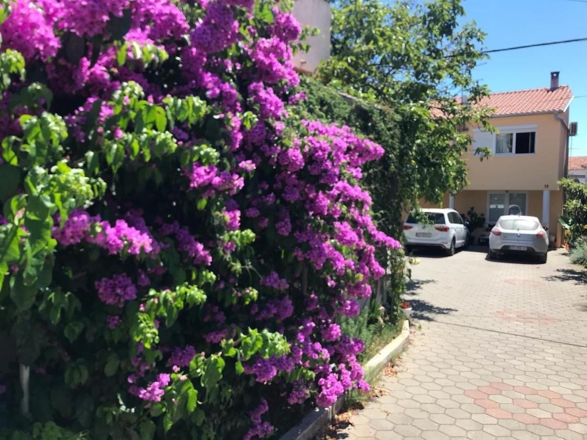 Lipo Je Appartement Zadar Buitenkant foto